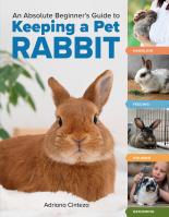 An Absolute Beginner’s Guide to Keeping a Pet Rabbit